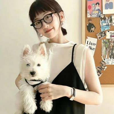 恋恋飞翔